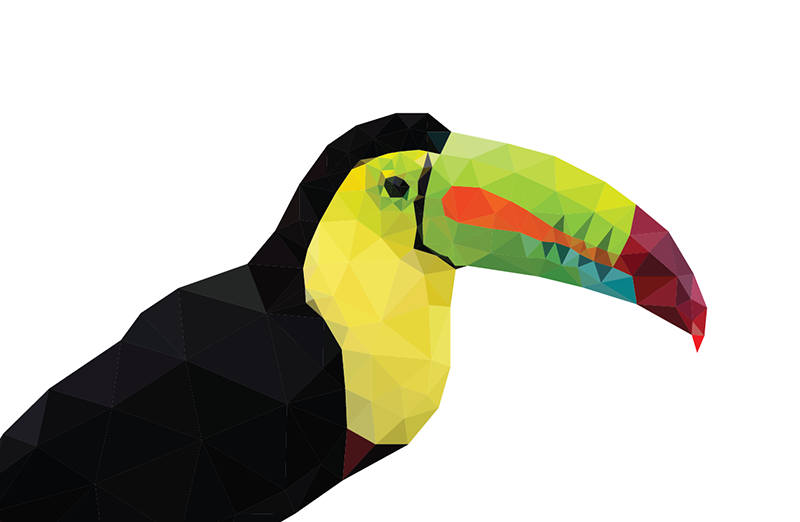 Low Poly vector Illustrator