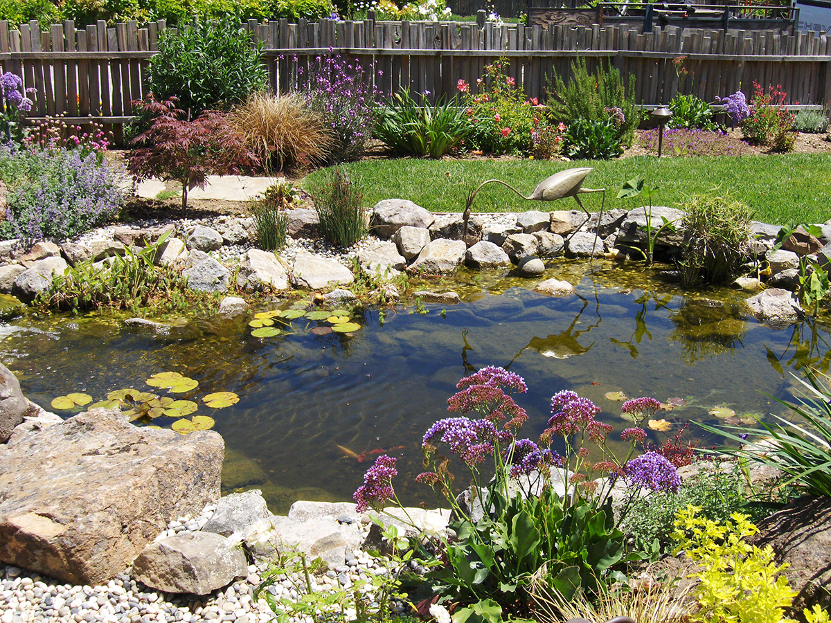 water features  landscapes