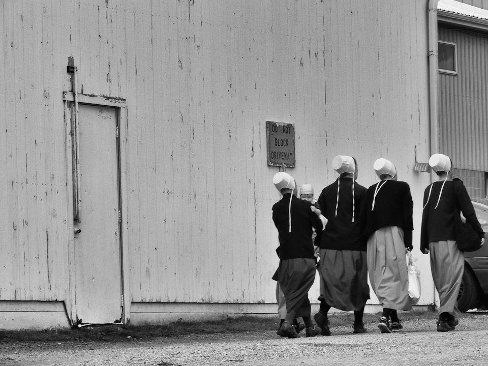 Amish mennonite amish country bw black and white american religion ohio Pennsylvania dutch indiana country usa united states