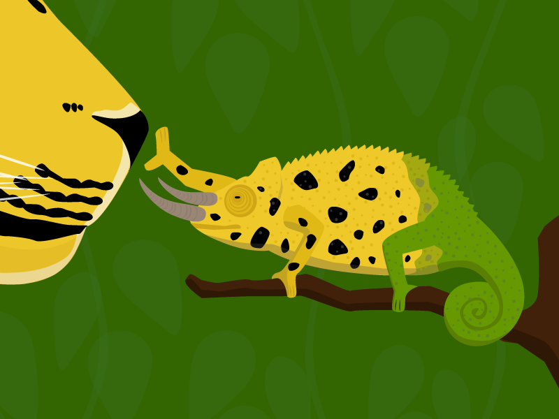 pattern leopard chameleon Illustration Friday