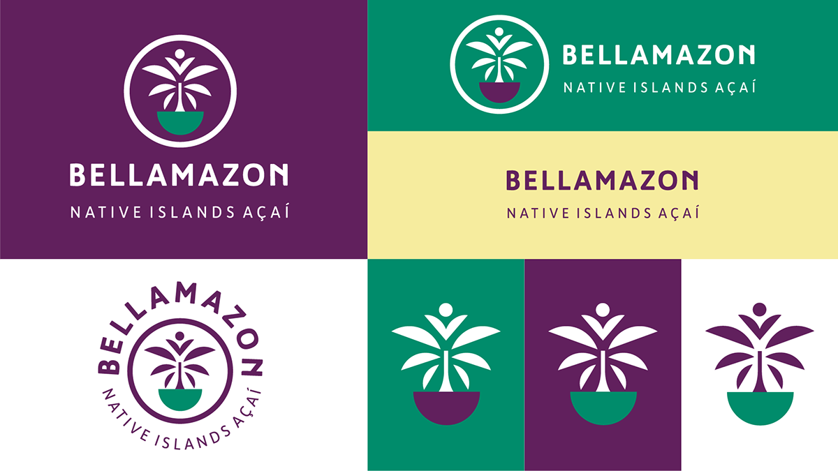 acai Amazon amazonia Brasil Brazil embalagem logo Packaging Sorbet visual identity