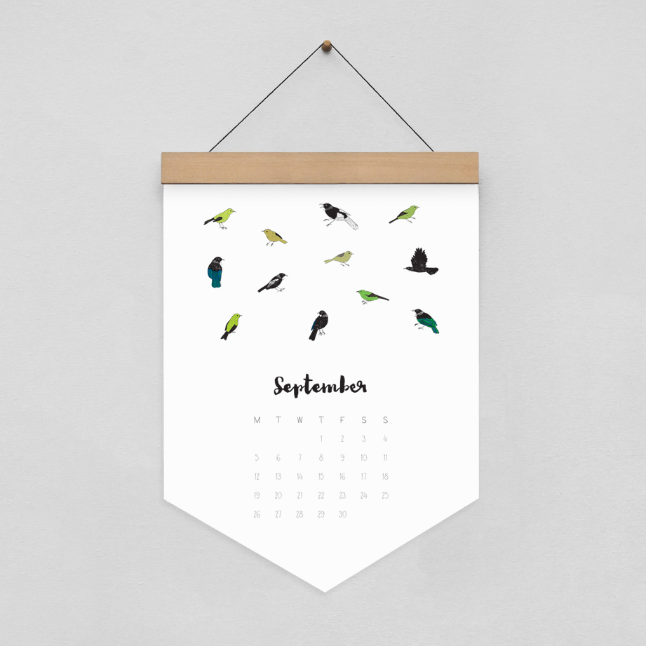 2016 Calendar eco design New Zealand birds Bird Illustration calendar design handmade new zealand made Calendar illustration bird art