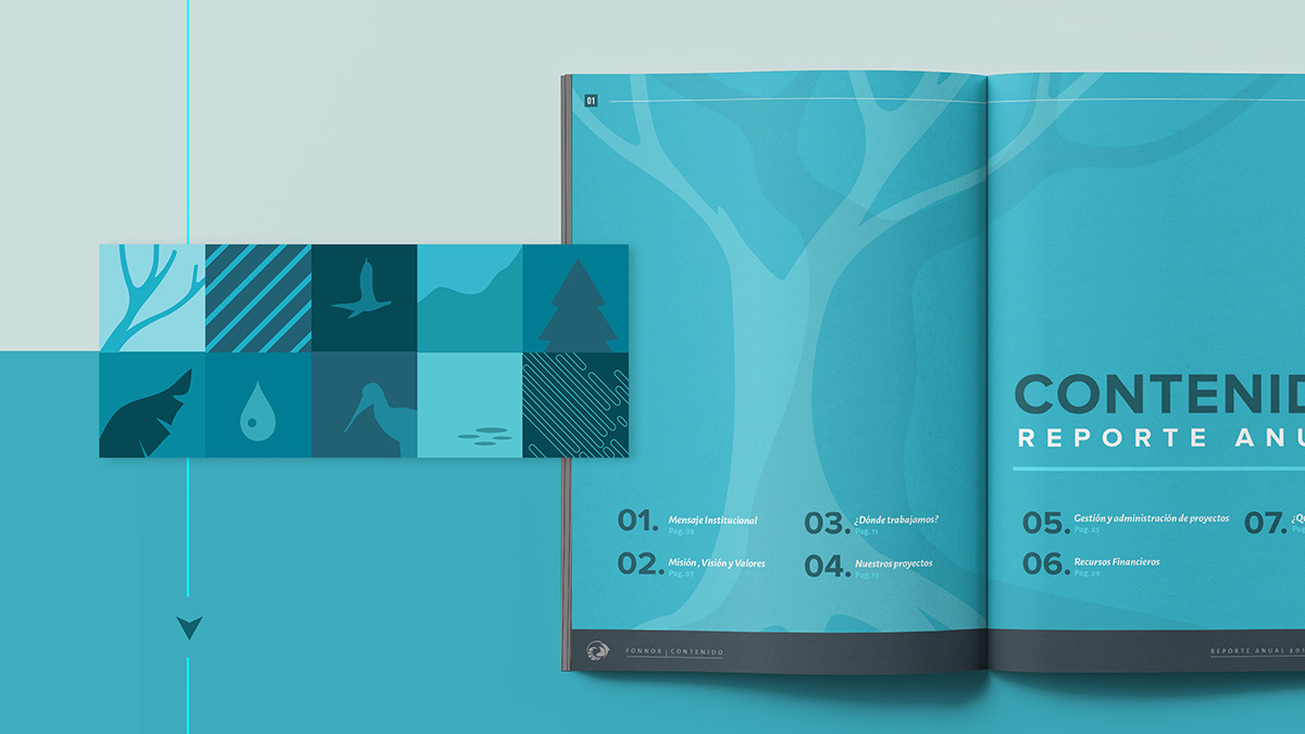ANNUAL annual report editorial informe anual Reporte Anual art direction  Editoral Design graphic design 