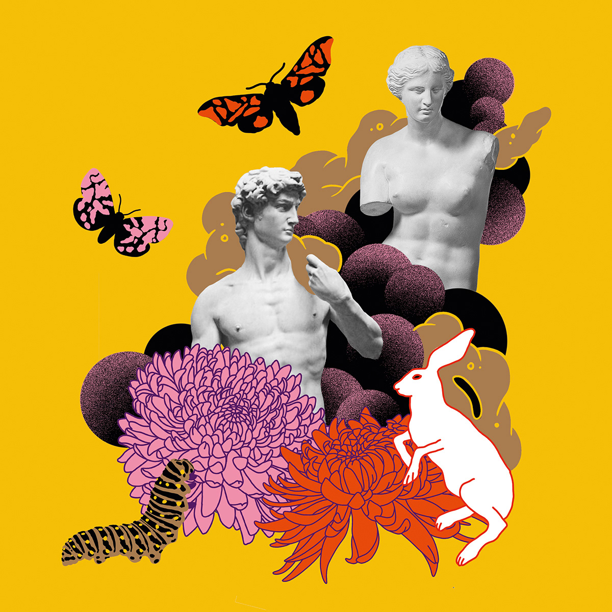 Adobe Portfolio Adobe Photoshop collage Digital Collage Flowers queer wacom