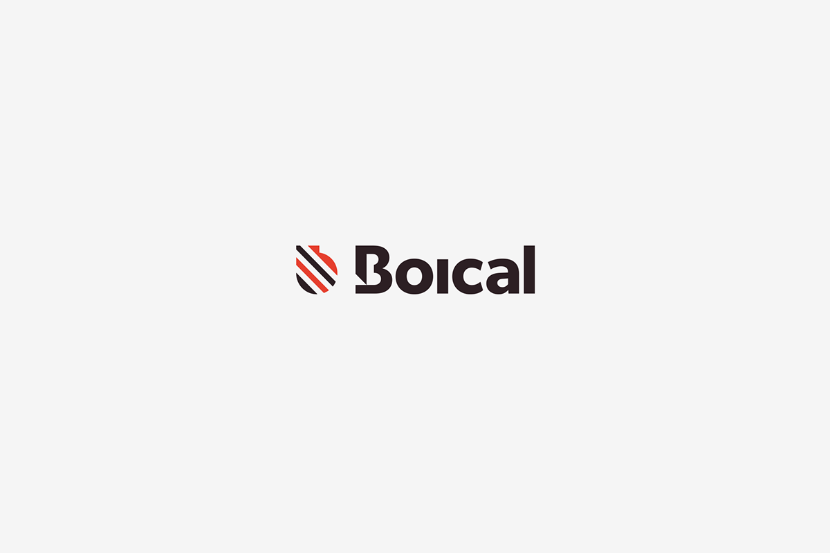 Signage brand boical Catalogue Boiler spare parts design logo
