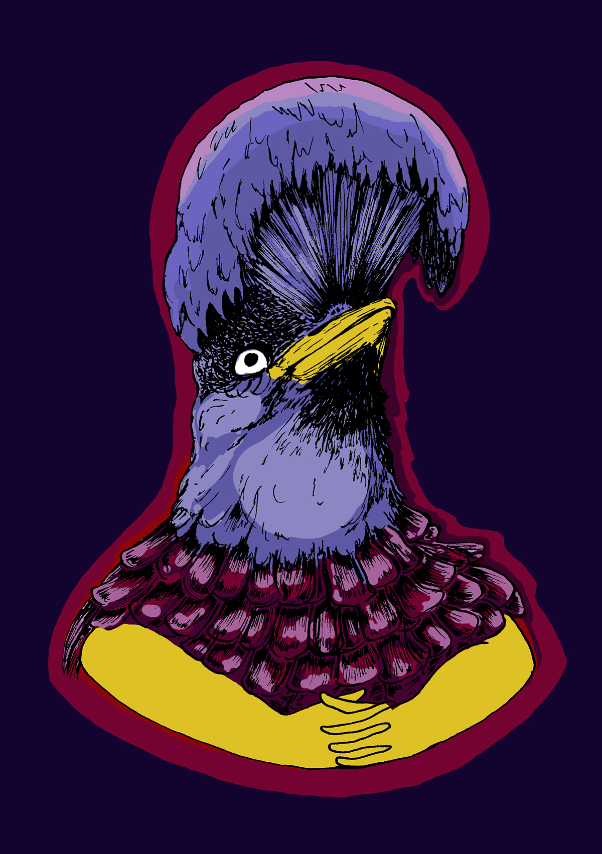 digital illustration desenho Ilustralão aves birds