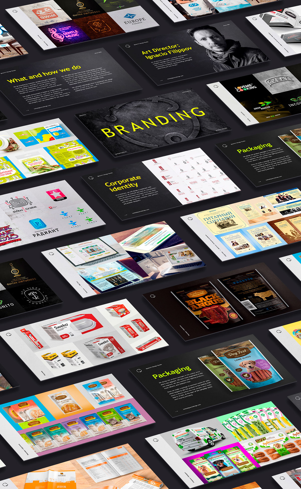 identity presentation branding  design studio Adobe Portfolio