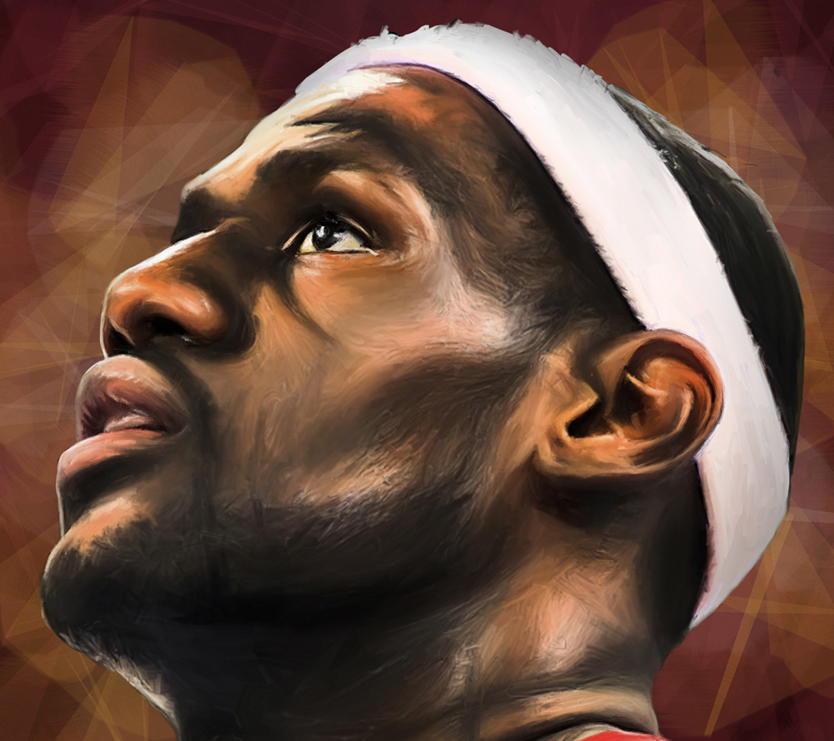 Miami Heat LeBron James king james Ray Allen NBA sports basketball Champions Chris Bosh dwyane wade