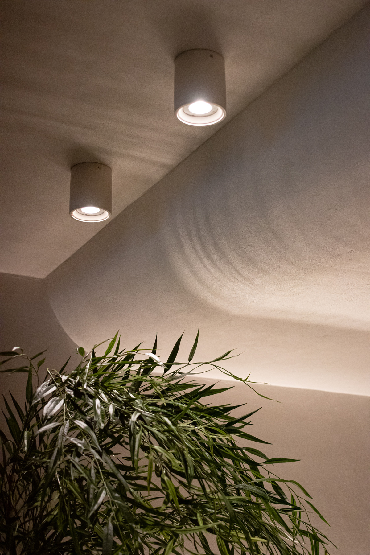 mediterranean plaster vaulted ceiling architecture warm Sauna Wellness studio