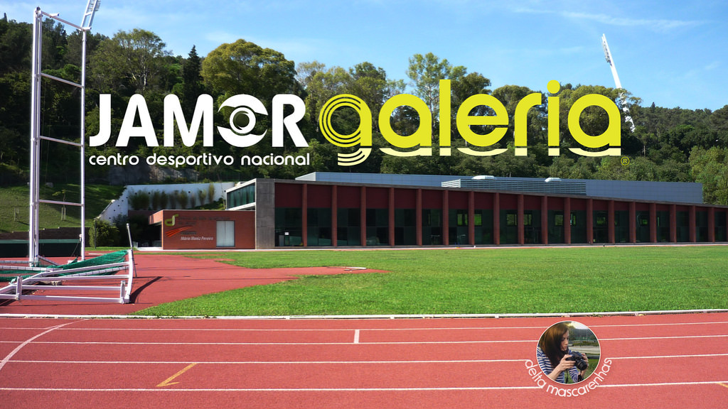 Jamor Exhibition  Photography  gallery Portugal sport Oeiras
