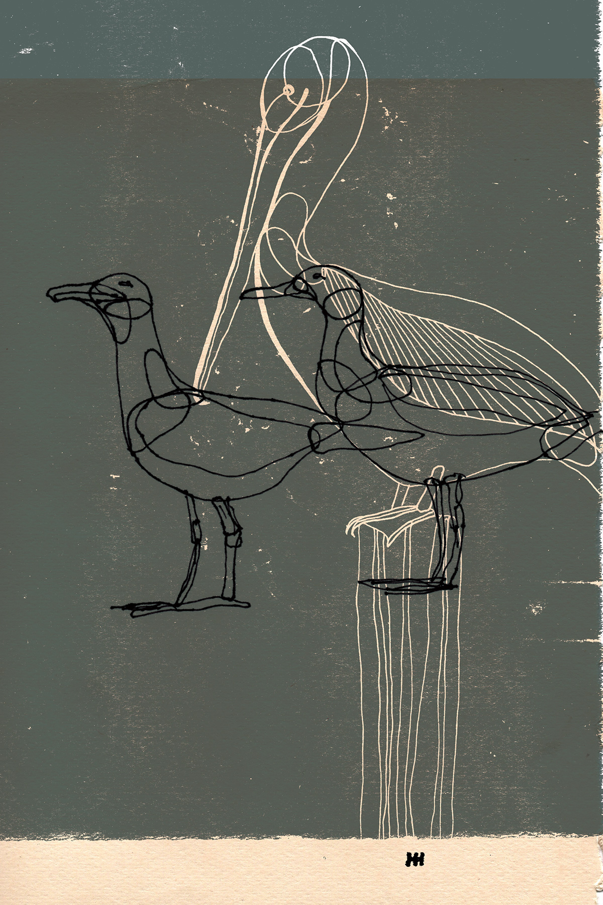 birds Pencil drawing sketch seagull pelican kormoran sea birds Dark colors bird drawing
