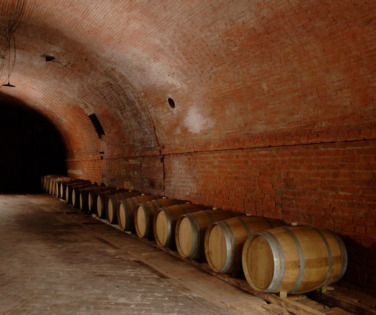 vino wine toscana Tuscany luca michetti