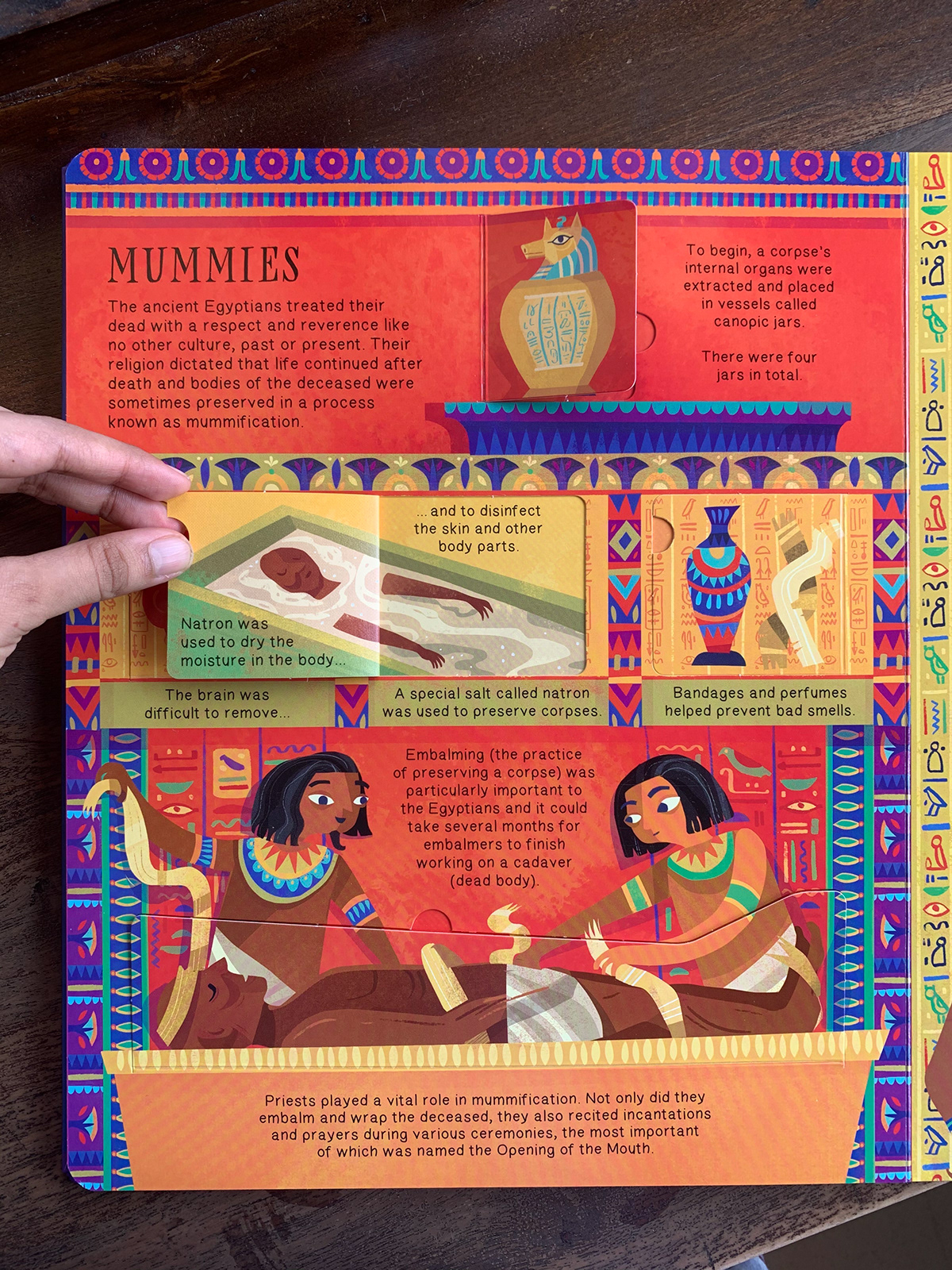 children's book egypt egypt illustration egyptians history history book lift the flap non fiction Picture book pyramid