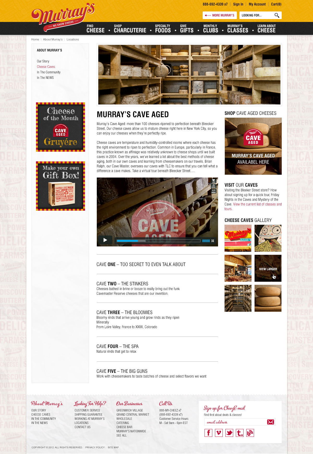 Website Food  Cheese Ecommerce texture