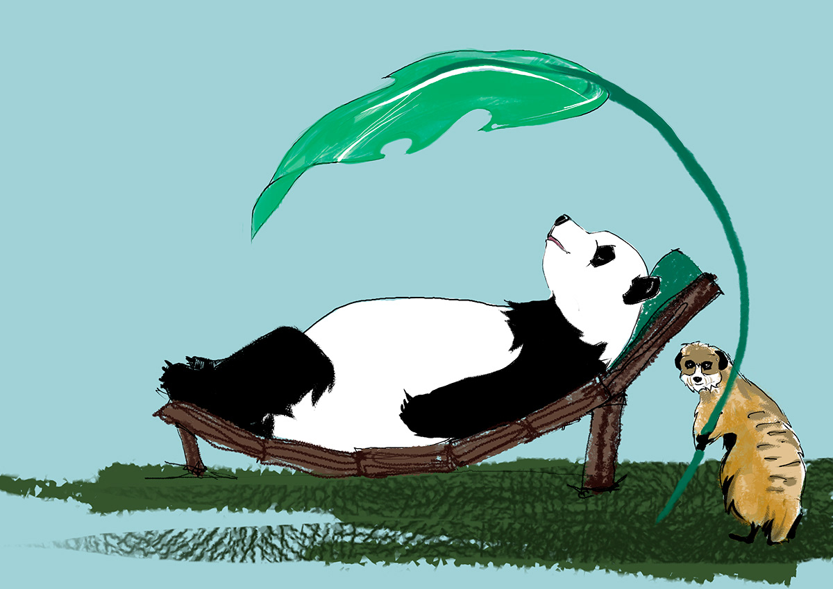 Panda  book cover watercolor children animal forest Jungles green