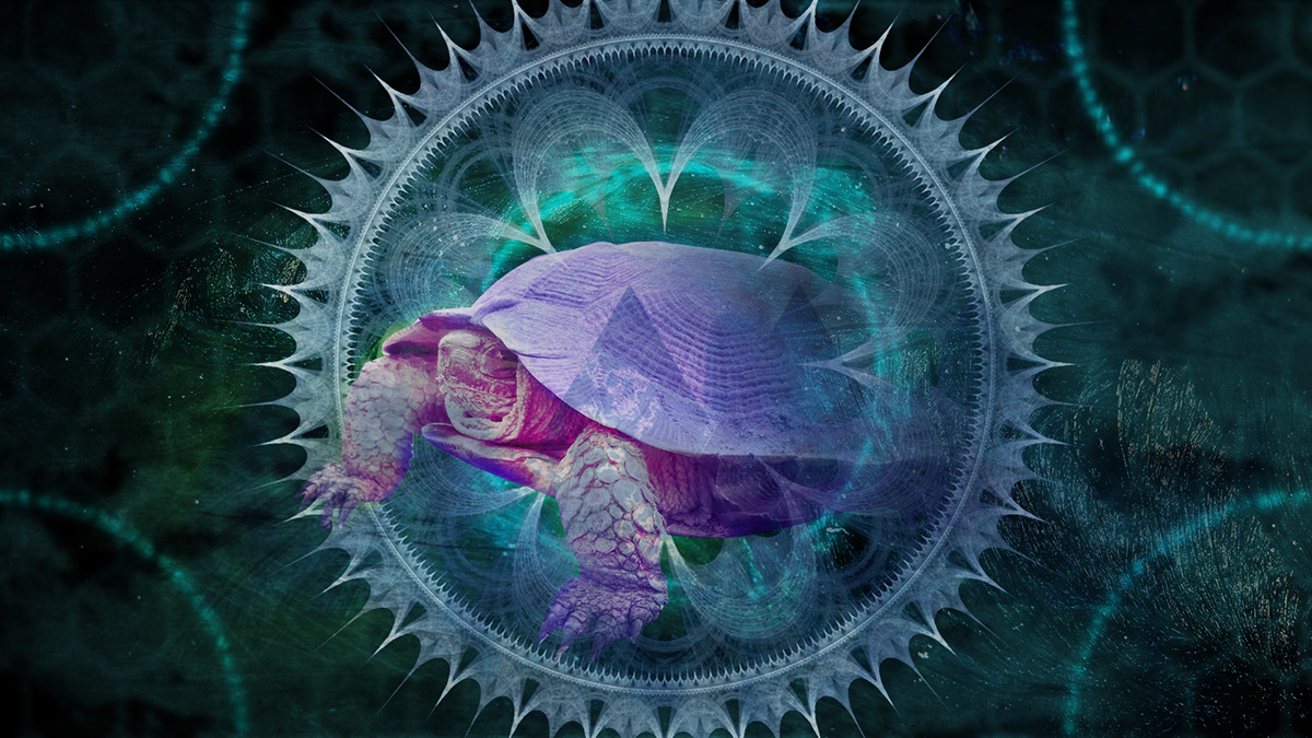 chameleon sheep Turtle compositing abstract