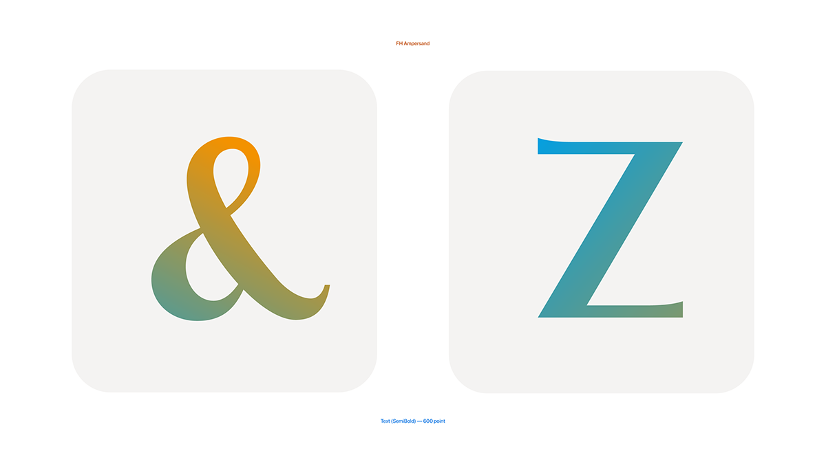 type design font branding  logo typography   art Typeface graphic design  glyphs
