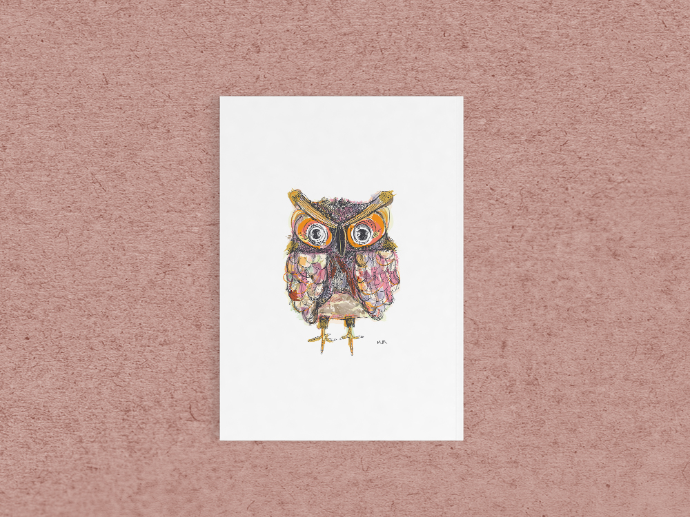 Adobe Portfolio owl fetish birds quirky Colourful  Fun Character illustrations