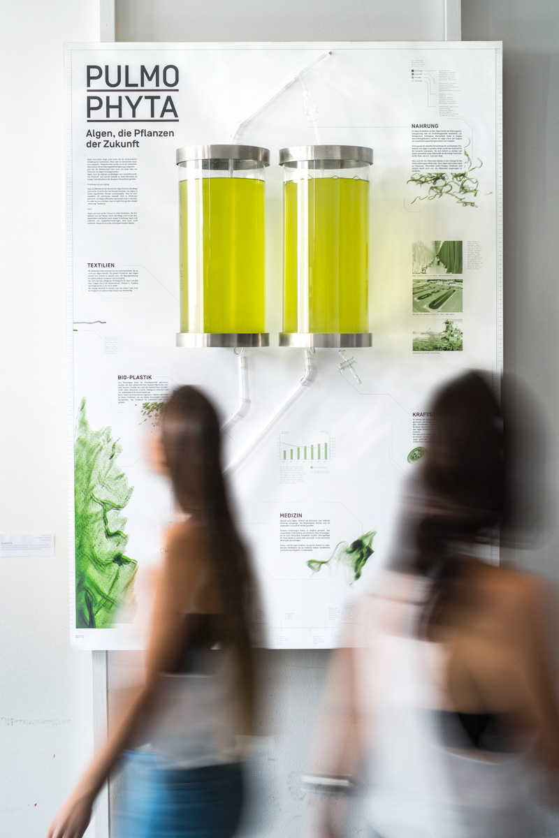 algae algen installation infographic infografik informationsgrafik informationgraphic Exhibition  ausstellung science future Wissenschaft zukunft green grün