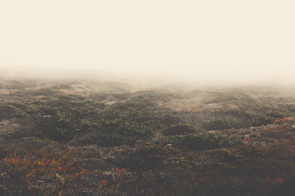 cliffs rocks mist fog Landscape Portugal abandoned Moody Faded epic