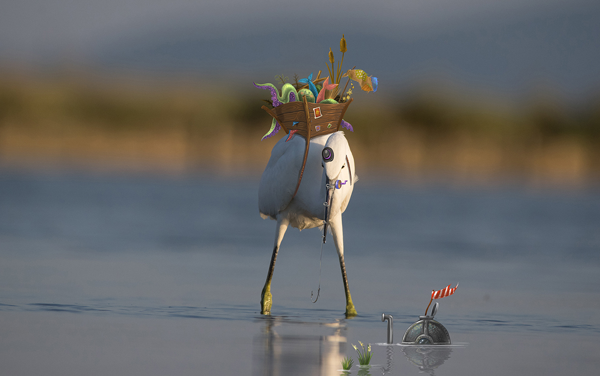 animation  ILLUSTRATION  Photography  Character design  birds Fashion 