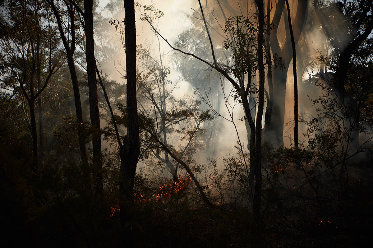 bushfire RFS nsw fire burn off burn Flames smoke Landscape abstract climate change global warming