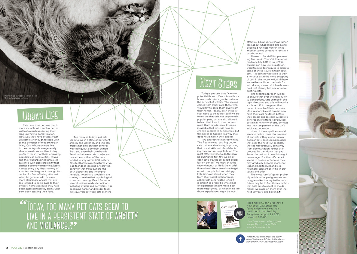 Cat magazine spreads layouts Layout Design SCAD