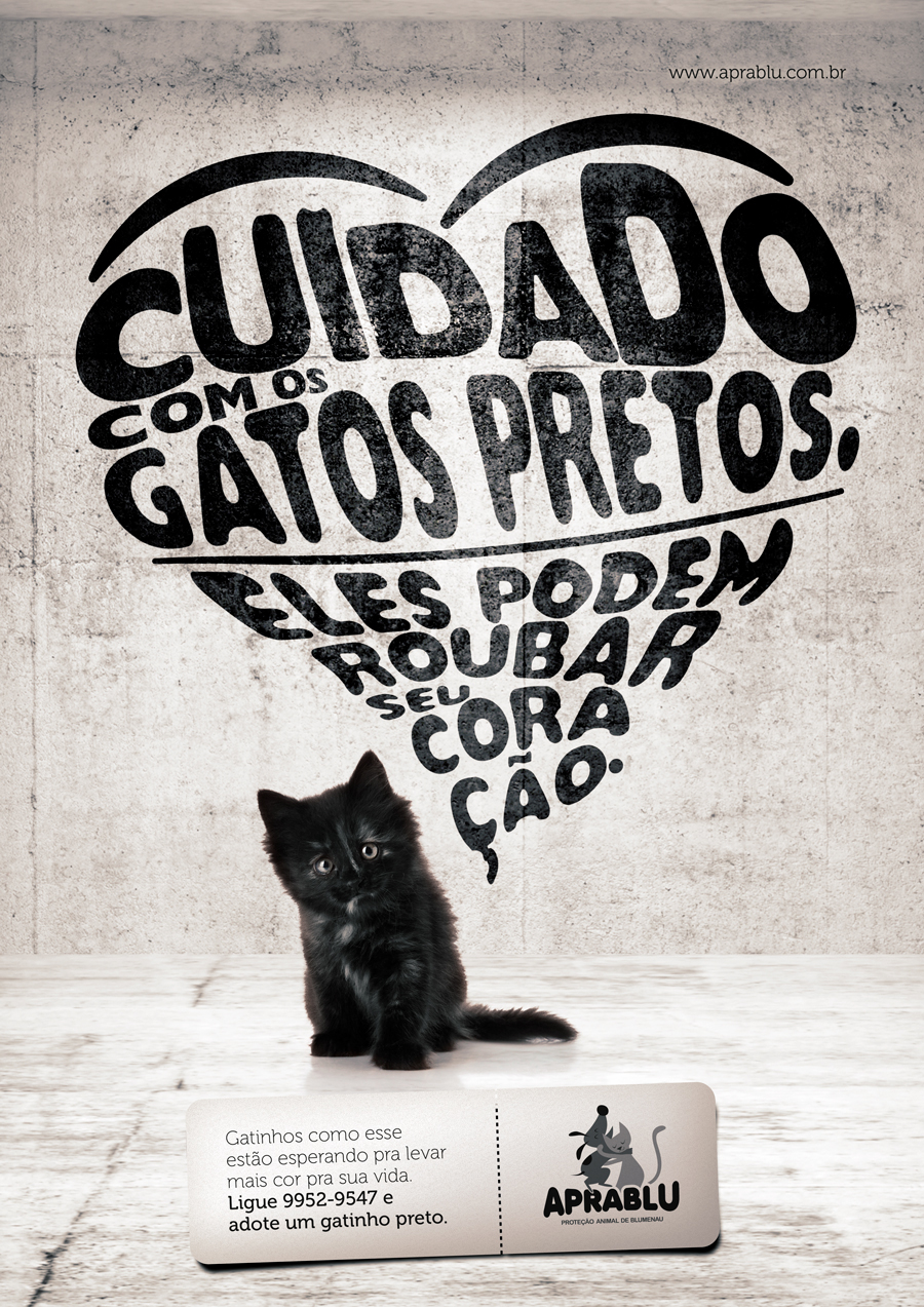 Campanha de ONG desmistifica a ideia de que gato preto dá azar