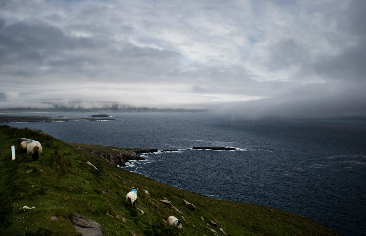 Ireland  achill island Landscape Meadows sheep cliffs clouds