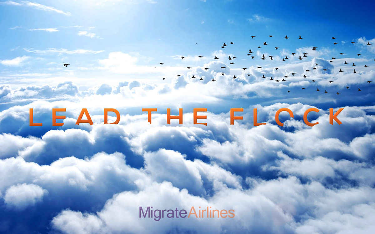 migrate Airlines planes air liners Sammy Sayles   logo sosasayles airport Flying