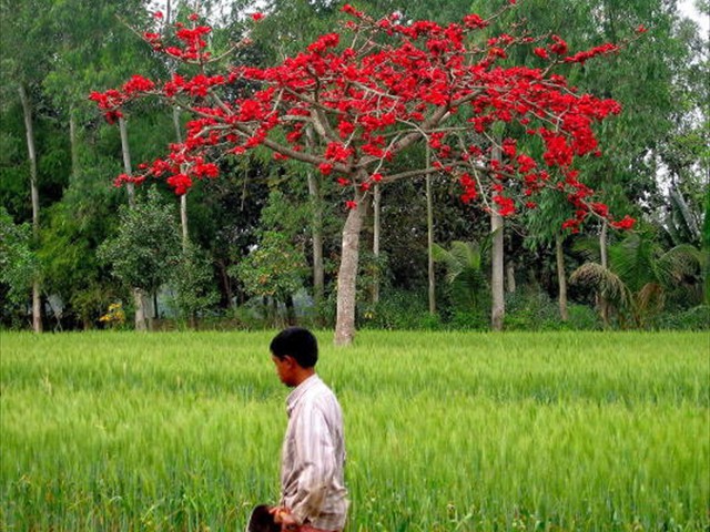 Bangladesh dhaka chittagong