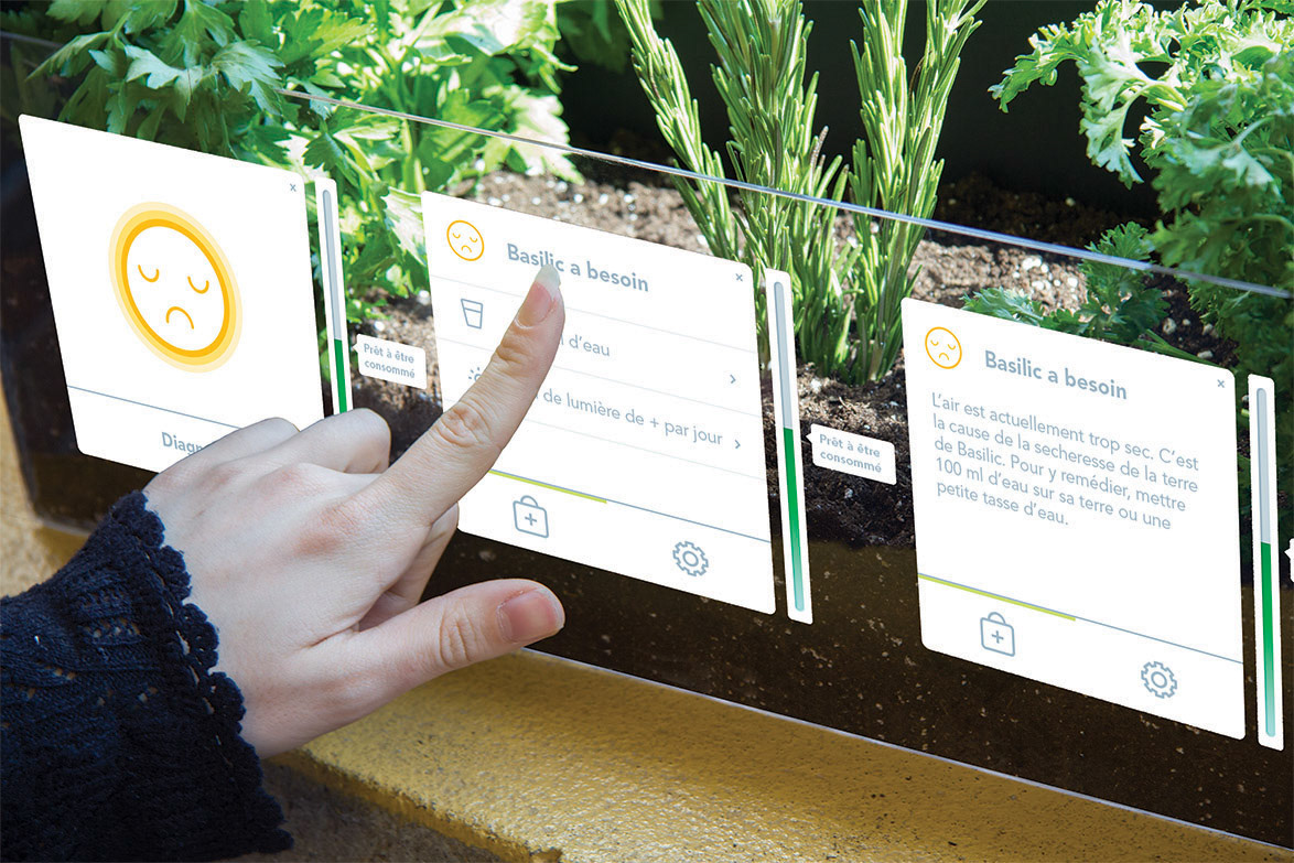 object intelligent jardinage flower spice gardening user friendly Smart fine herb garden Interface glass sensor green avatar