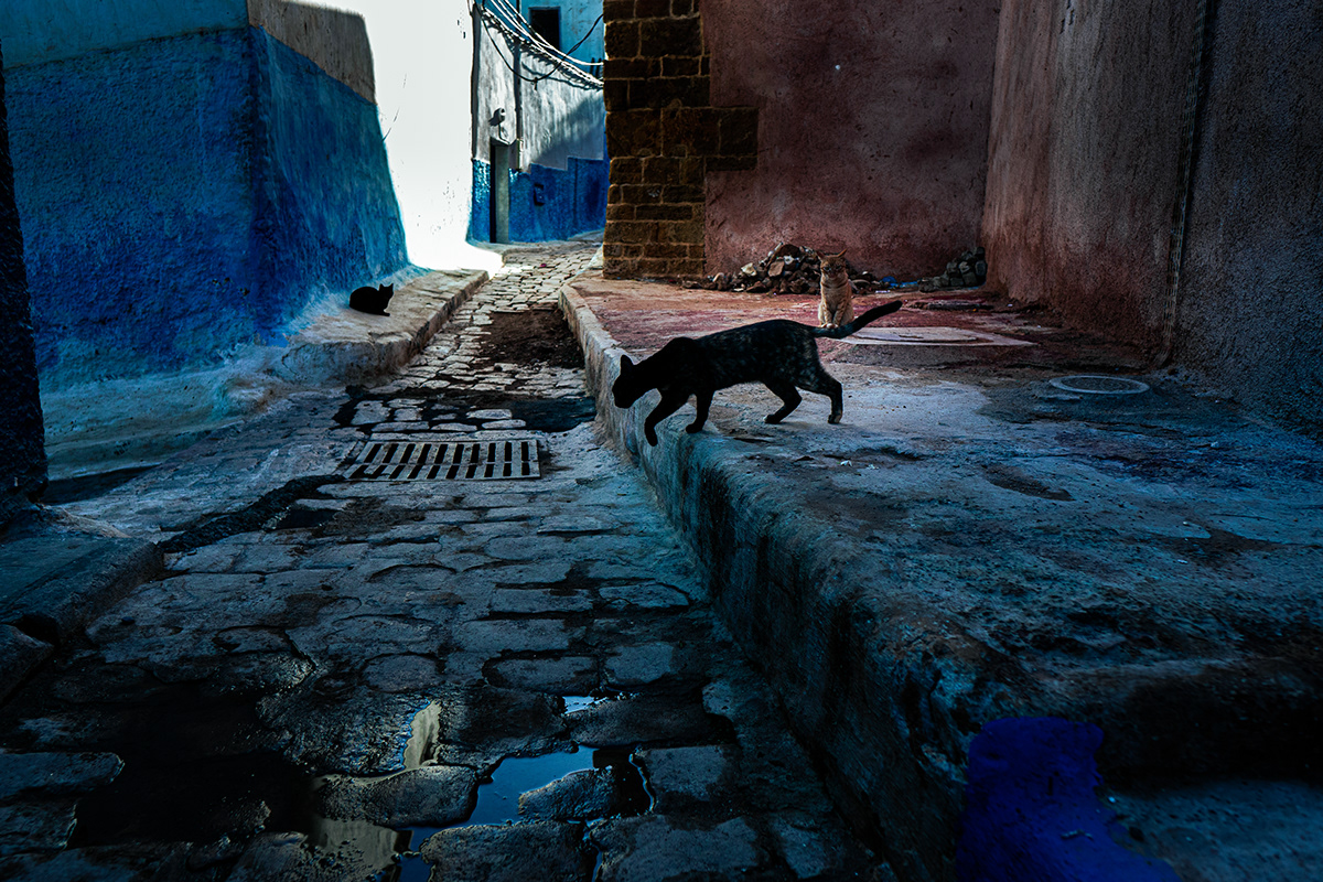 chefchaouen Documentary  Documentary Photography Fez Morocco rabat reportage street photography streetphotography