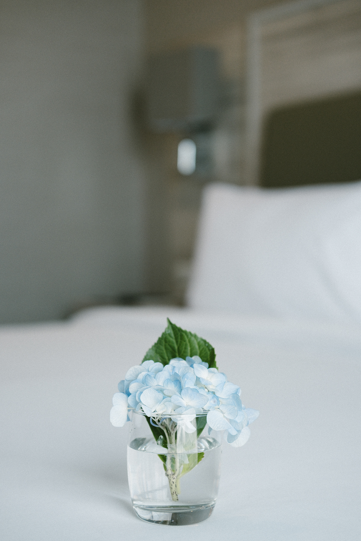 styling  Photography  rooms hotel Flowers
