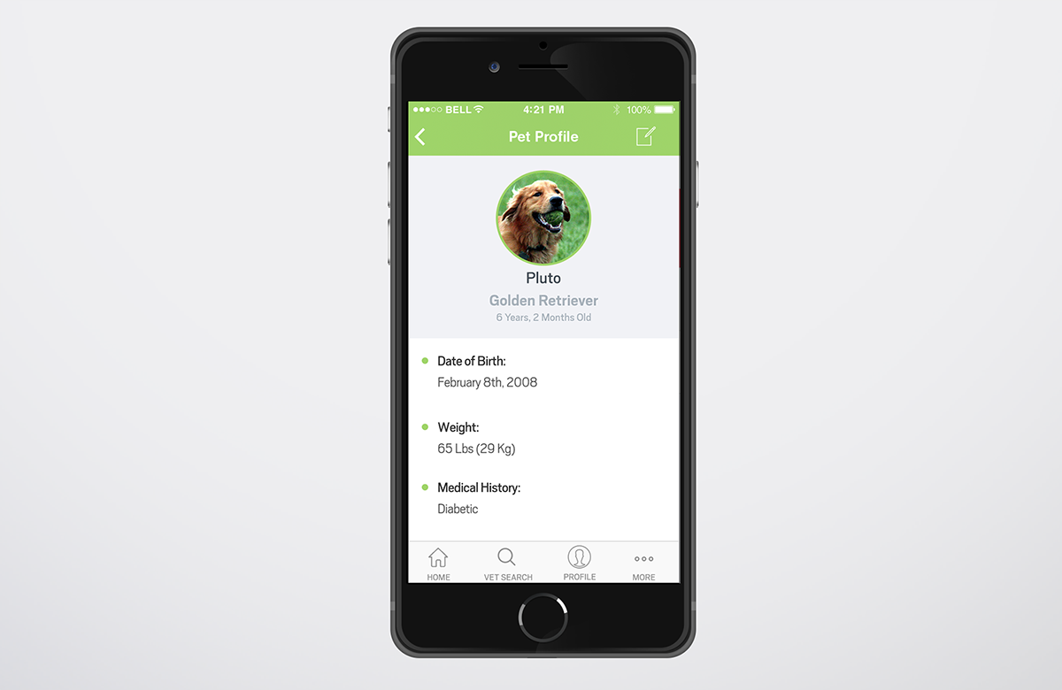 Pet veterinary vets help app mobile Responsive Web application design UI ux Interface