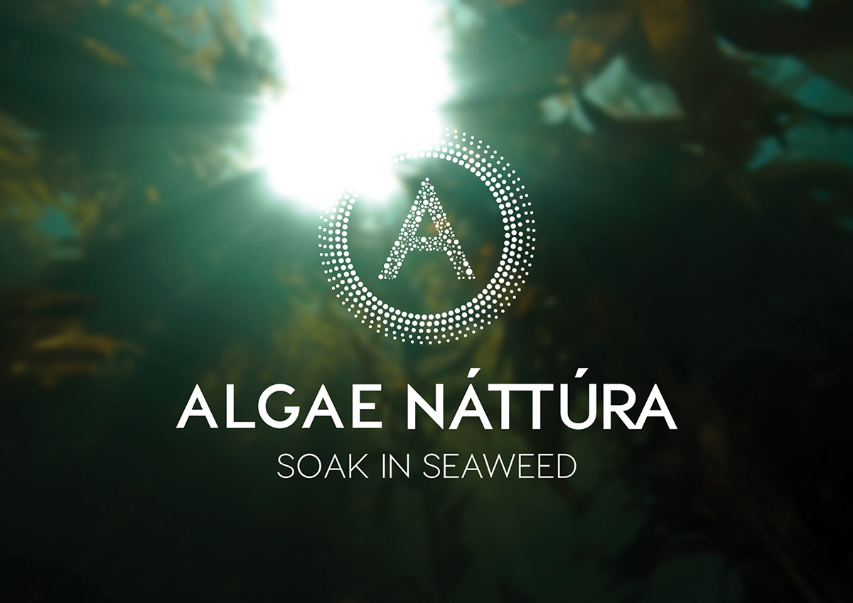 icelandic seaweed Health Spa algae Ocean natural Nature
