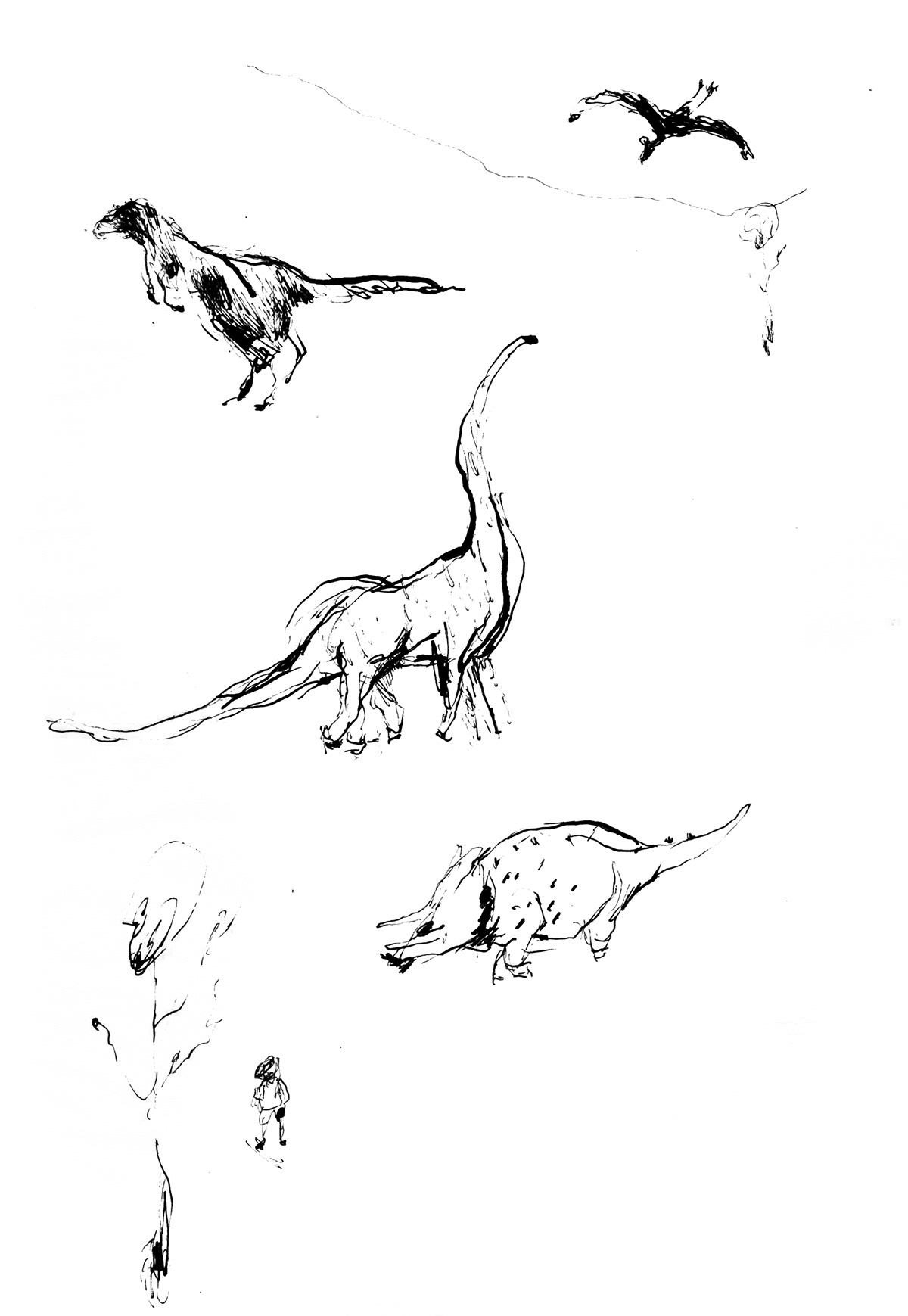 Dinosaurios dinosaurs triceratops tiranosaurio tyrannosaurus dibujo bocetos sketchbook lapiz pencil ink tinta