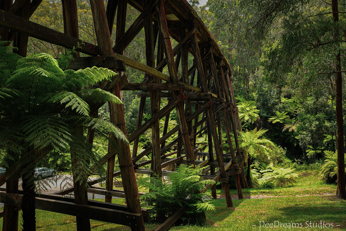 blackandwhite bridge color composition depthoffield explore Landscape trees Victorian wooden