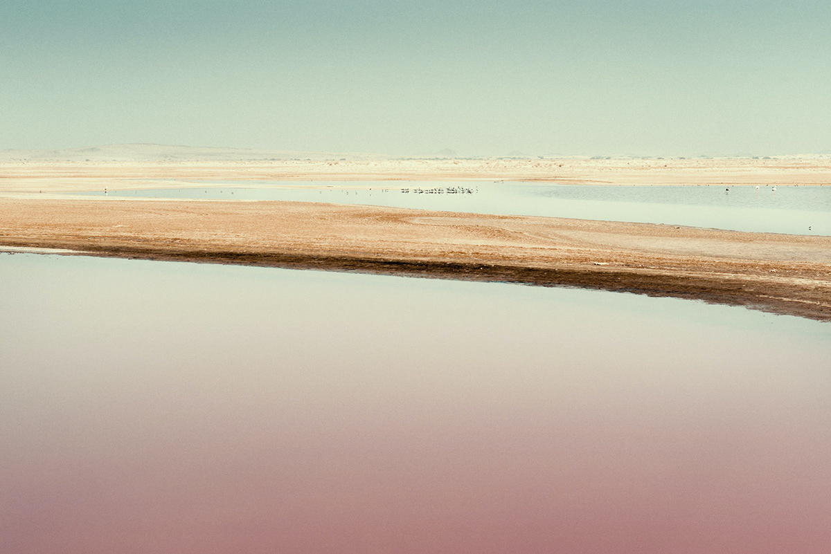 boat desert discover dune dust flamingos Oman voyage