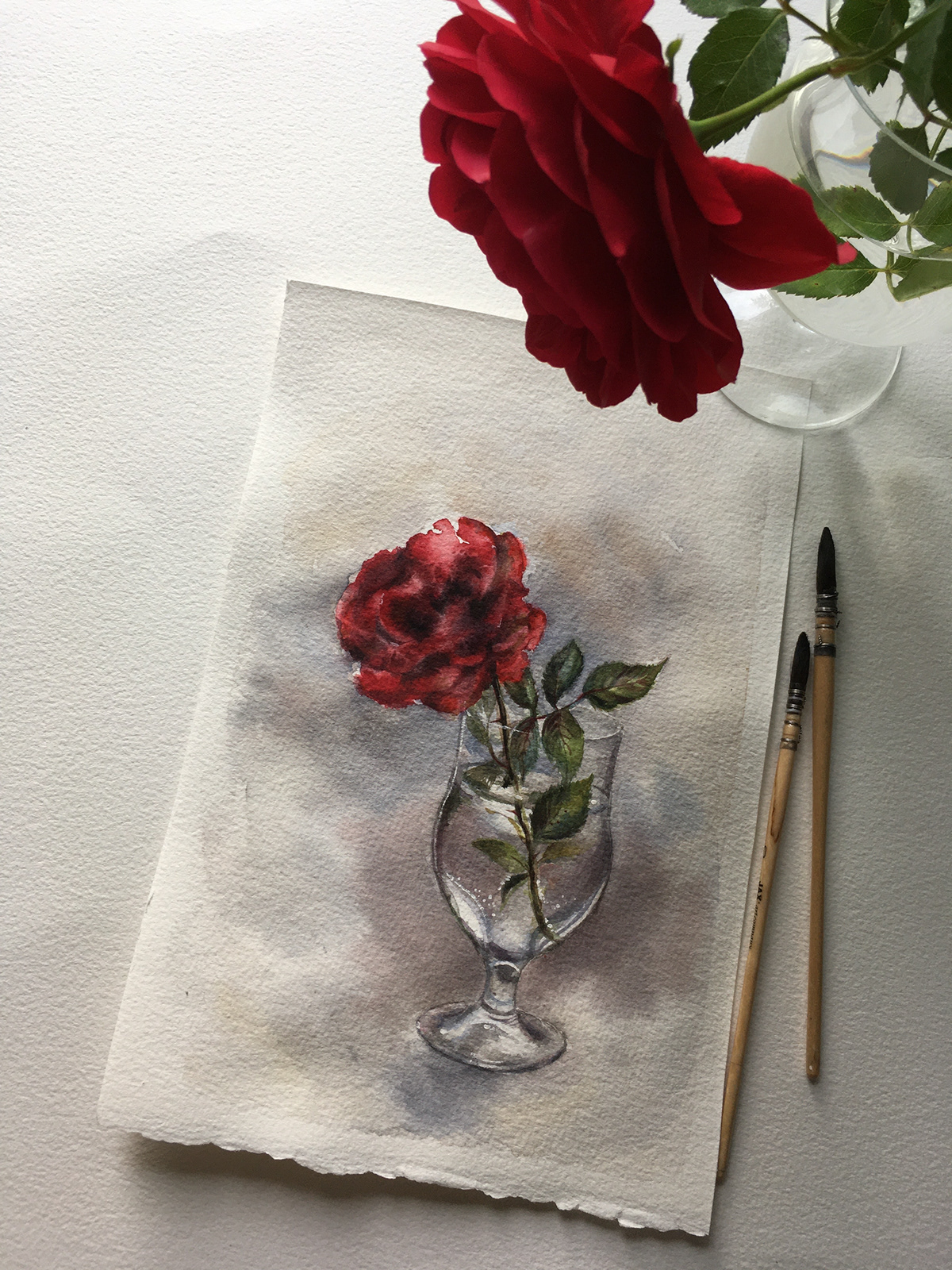 artwork book cover book illustration Drawing  painting   postcard poster sketch still life watercolor