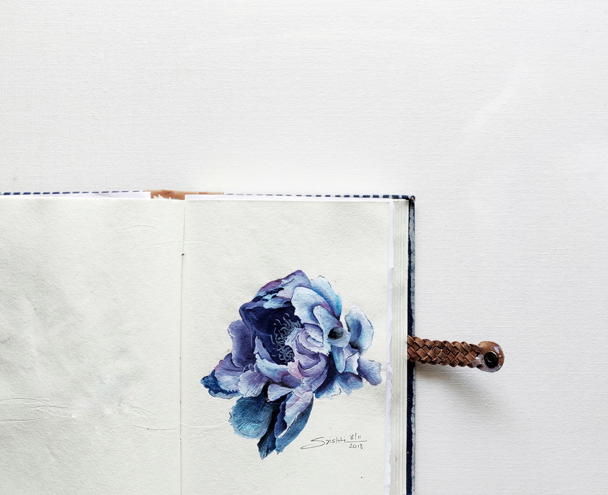 watercolor illustrations Flowers Travel journal Photography  botanical inks paint India