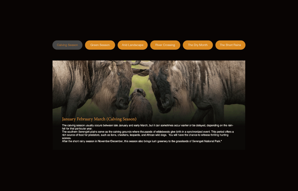 Travel Photography  safari africa ILLUSTRATION  wildlife Nature animal design Brand Design