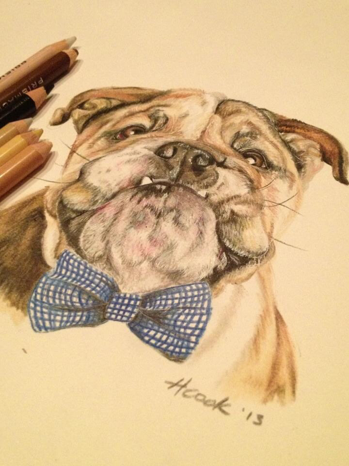 coloured pencil art dog fine art