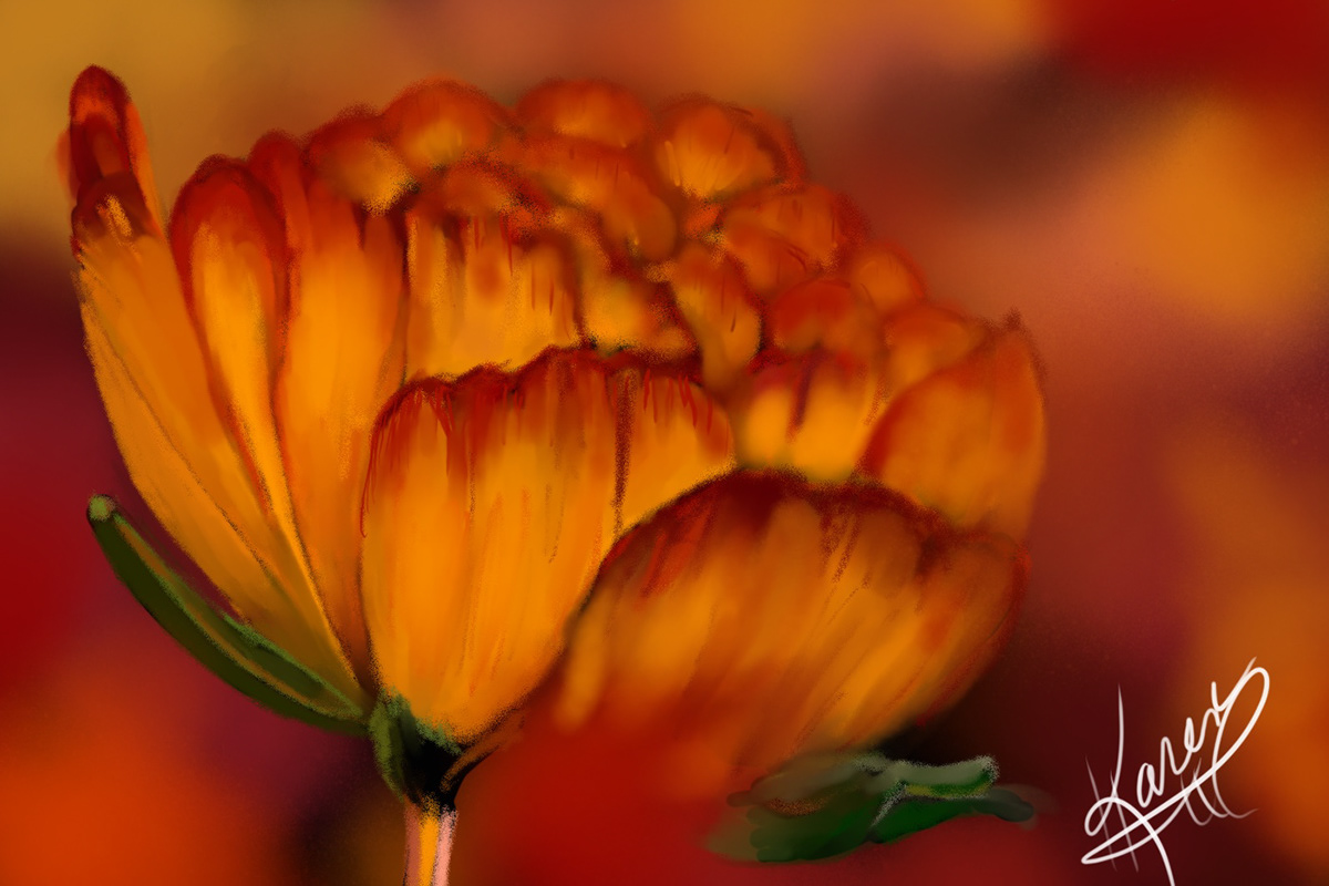 Digital Art  digital painting Drawing  illustrations Flowers