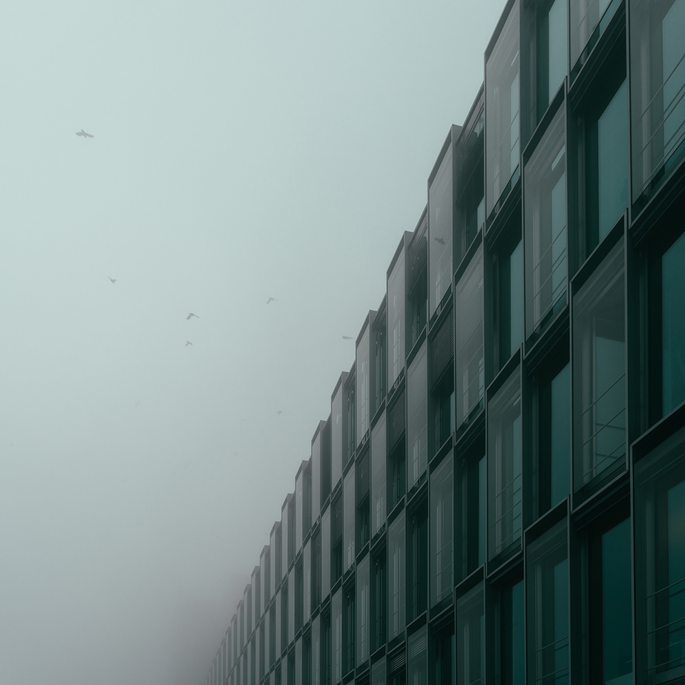 architecture cologne fog mist river silence MORNING Nature