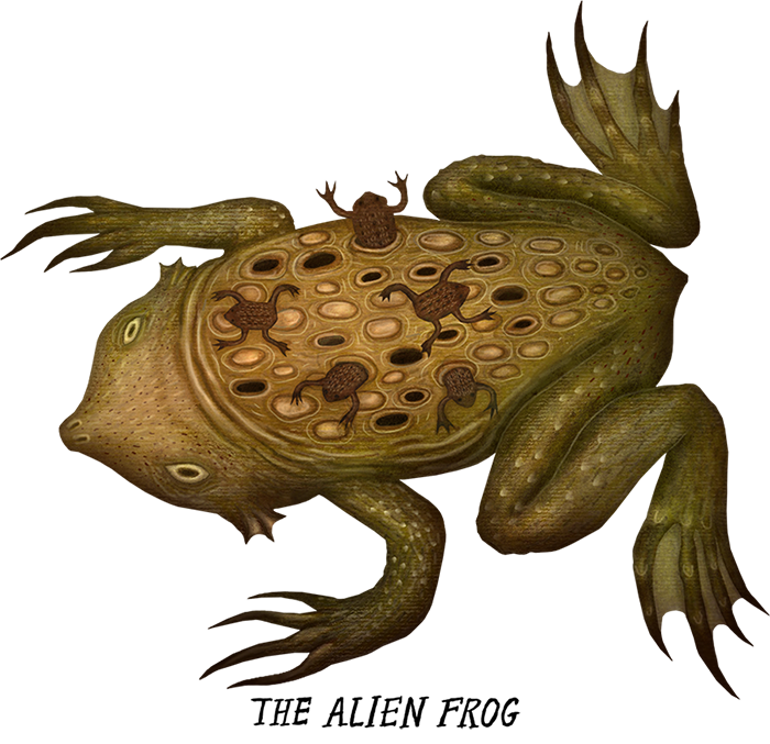 Earth Touch Crazy Monster Frogs Frog documentary frogs amphibians smithsonian channel toads The Smithsonian SciArt
