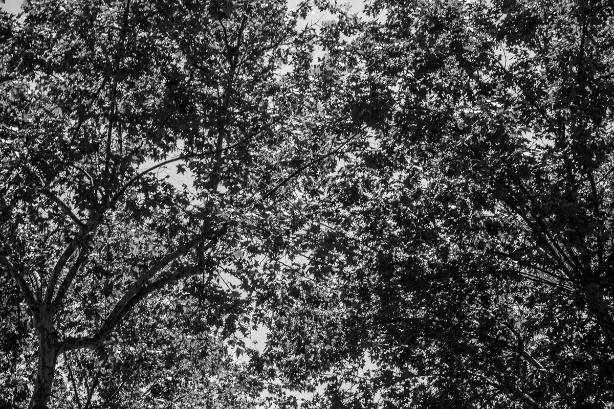 photograph black and white spain digital black White bw