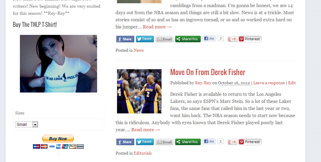 basketball blogging  wordpress plugins template Layout