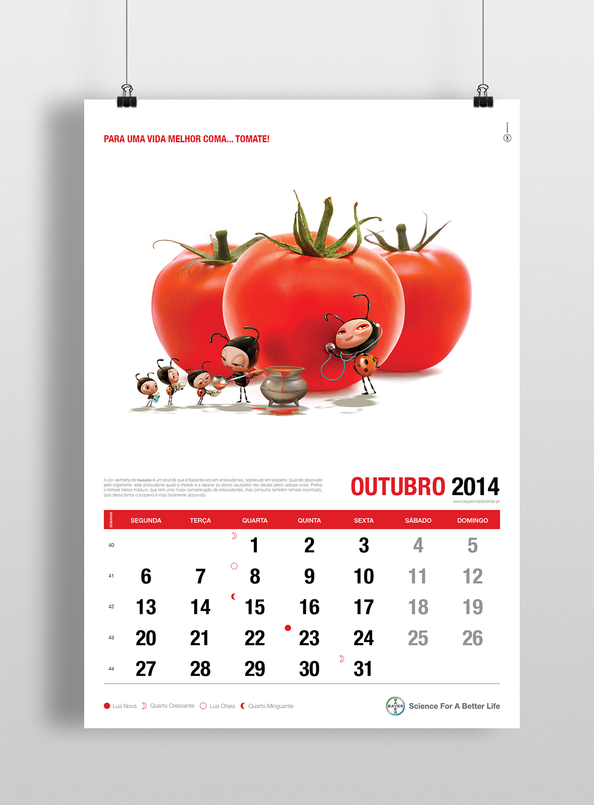 Bayer Food  Fruit vegetables beetle Better Life calendar print colors agriculture farming