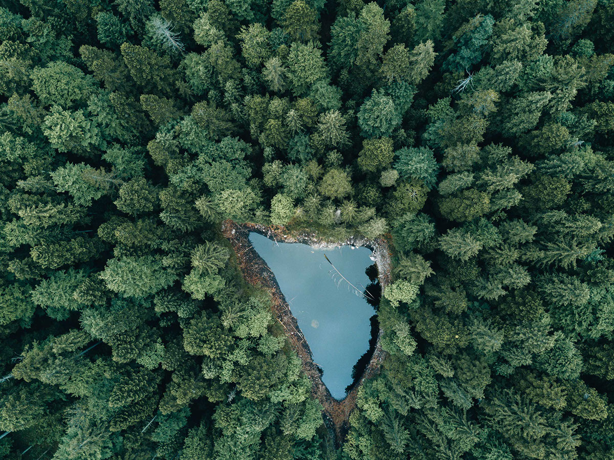Landscape forest lake water green blue Nature drone calm adobeawards